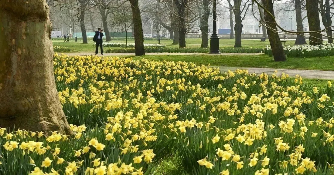 Green Park, London