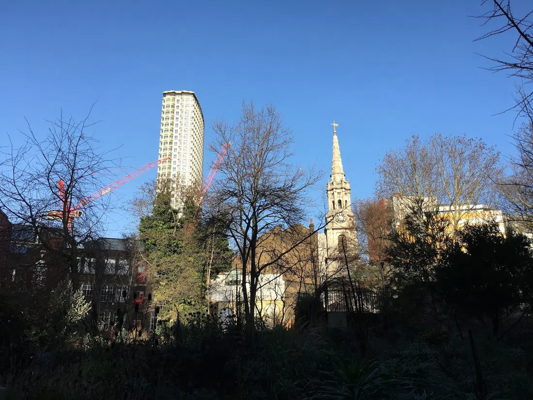 The Phoenix Garden, London