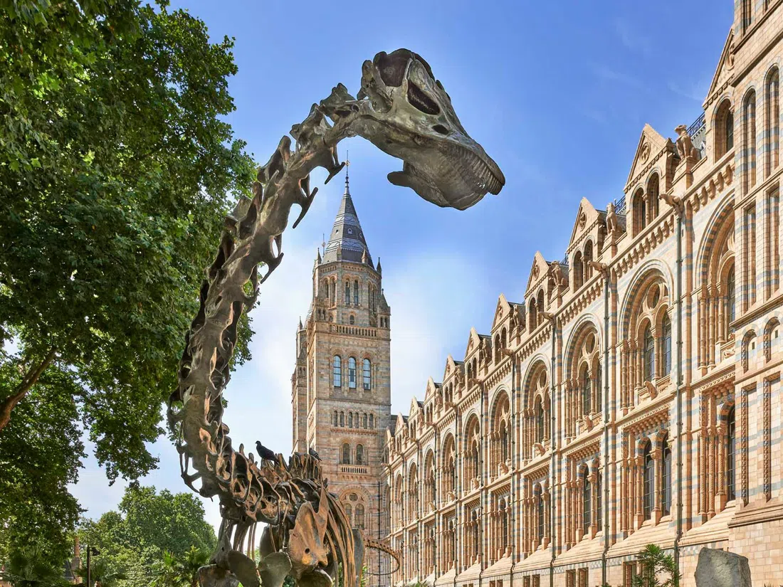 Natural History Museum, London