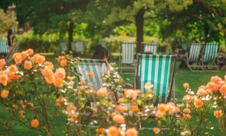 Primrose Hill, London